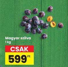 Magyar szilva