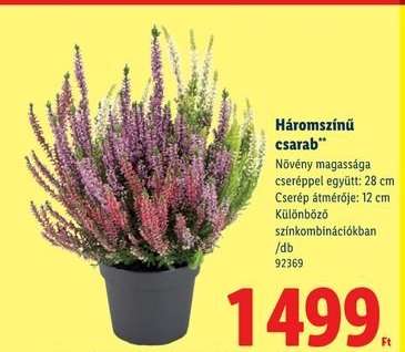 Háromszínű csarab*