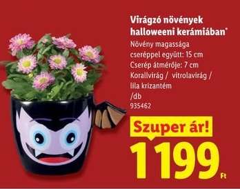 Virágzó növények halloweeni kerámiában