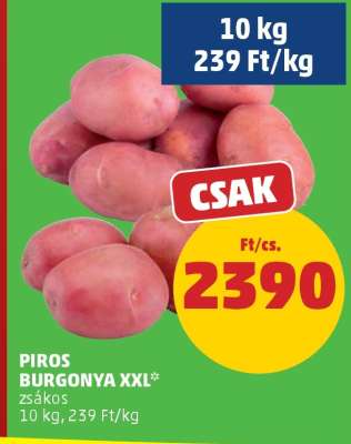 Piros Burgonya XXL