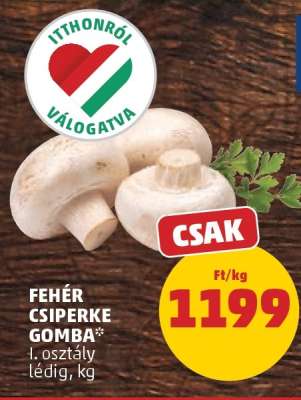 Fehér csiperke gomba