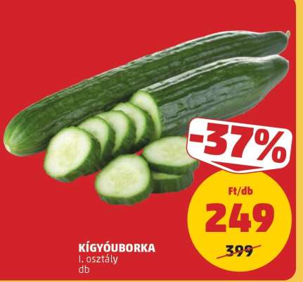Kígyóuborka