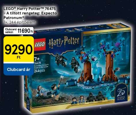 LEGO® Harry Potter™ 76475