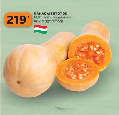 KANADAISÜTŐTÖK