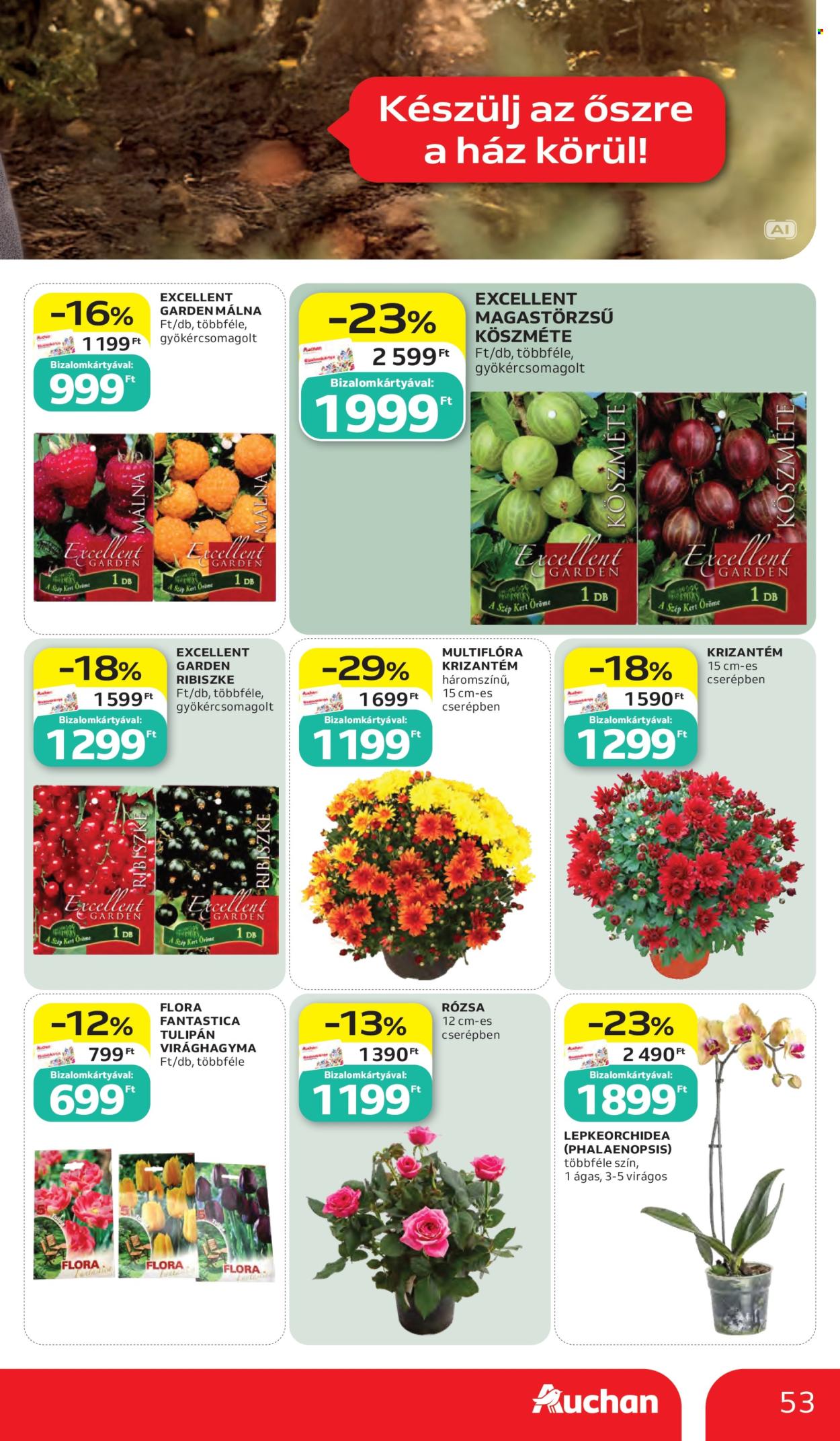 Auchan akciós újságok - 2026.10.15 - 2026.10.21. Oldal 53