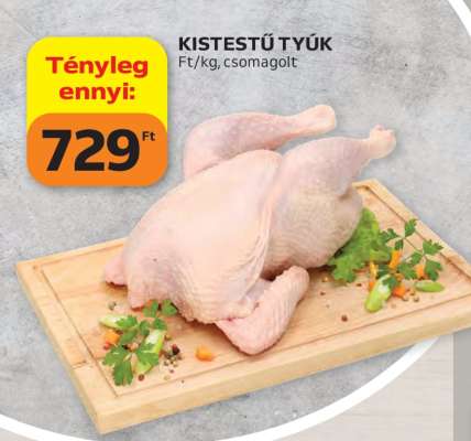 Kistestű tyúk