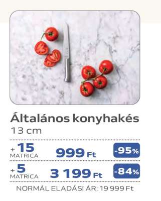 Általános konyhakés