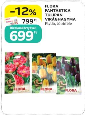 FLORA FANTASTICA TULIPÁN VIRÁGHAGYMA