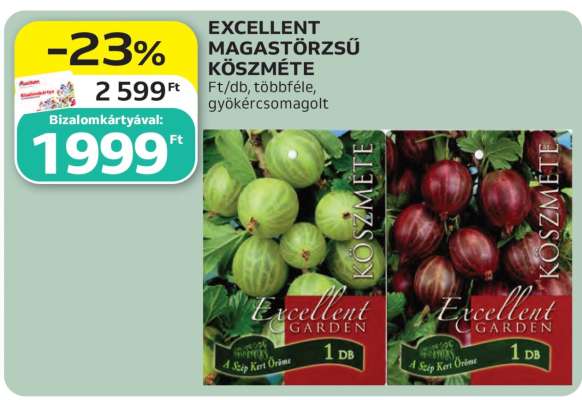 EXCELLENT MAGASTÖRZSŰ KÖSZMÉTE