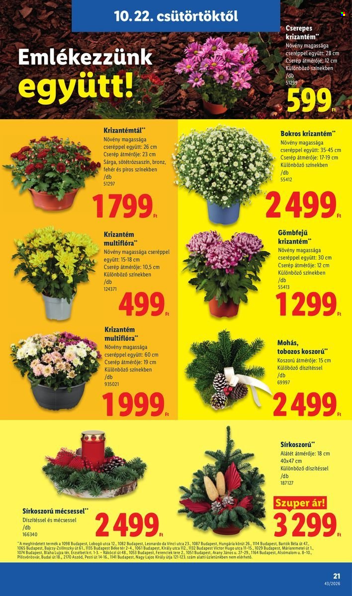 Lidl akciós újságok - 2026.10.22 - 2026.10.28. Oldal 21