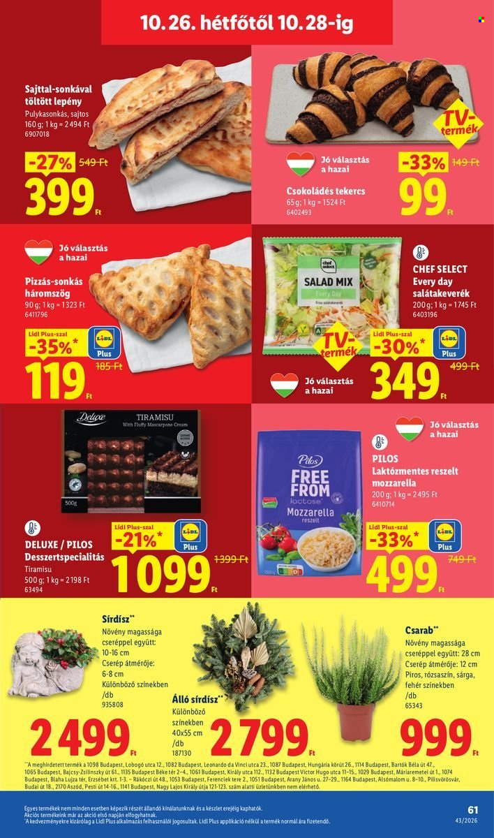 Lidl akciós újságok - 2026.10.22 - 2026.10.28. Oldal 61