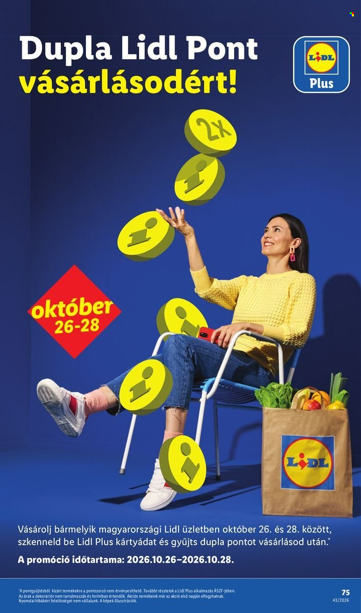 Lidl akciós újságok - 2026.10.22 - 2026.10.28. Oldal 75