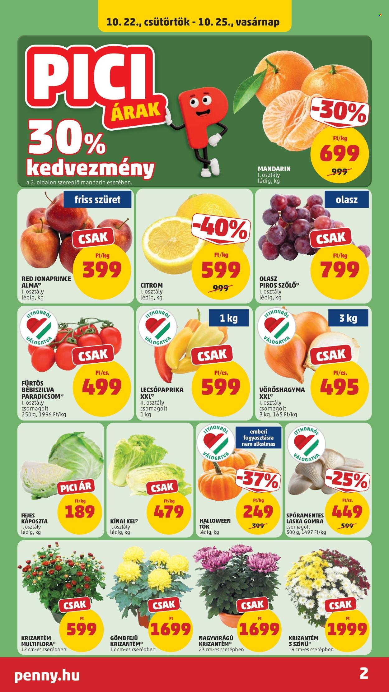 Penny Market akciós újságok - 2026.10.22 - 2026.10.28. Oldal 2