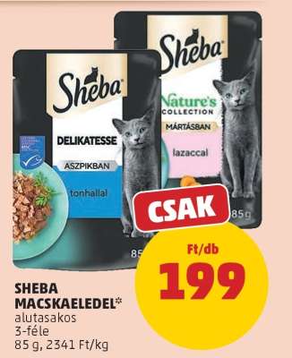 Sheba Macskaeledel