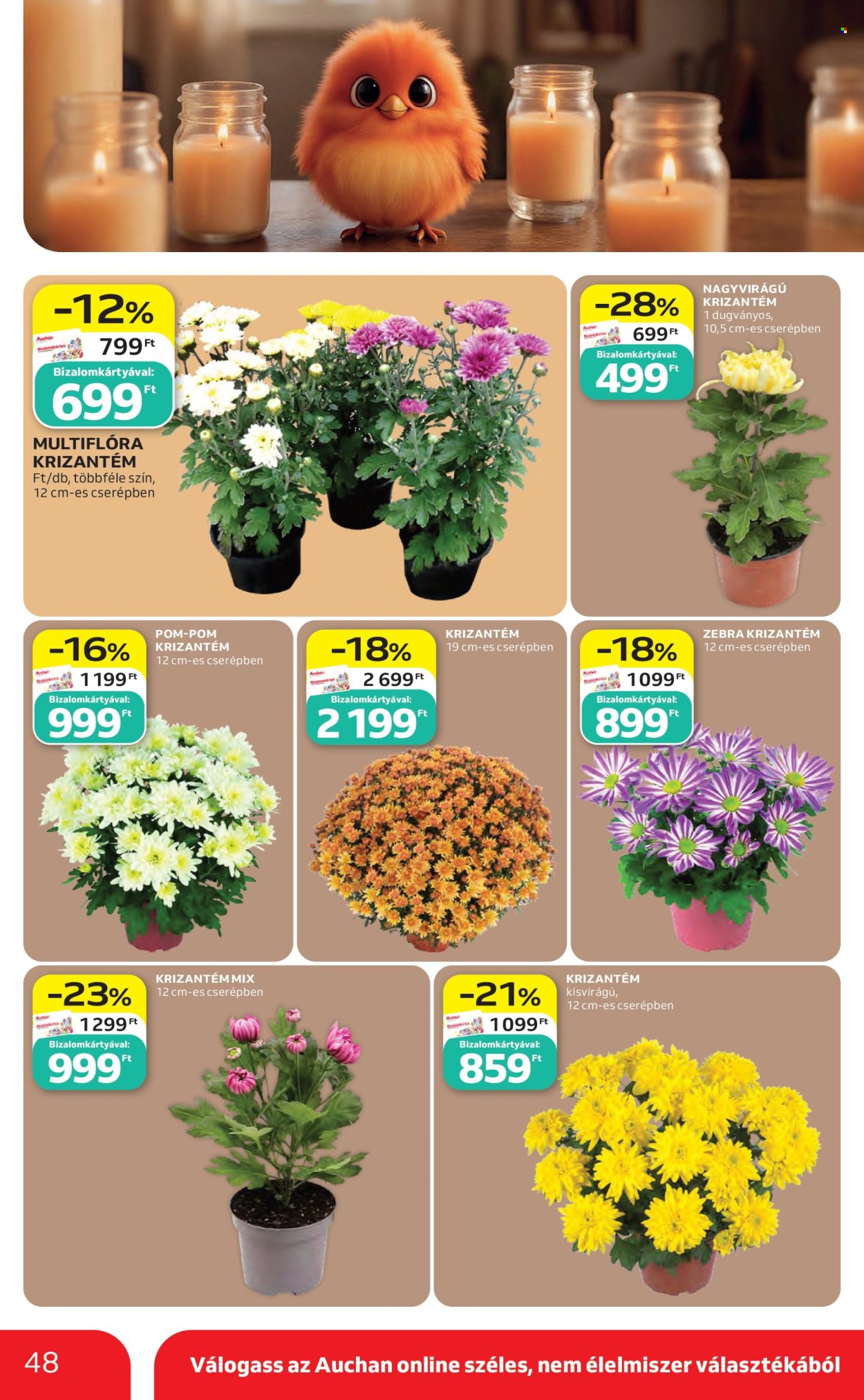 Auchan akciós újságok - 2026.10.22 - 2026.10.28. Oldal 48