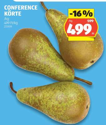 Conference Körte