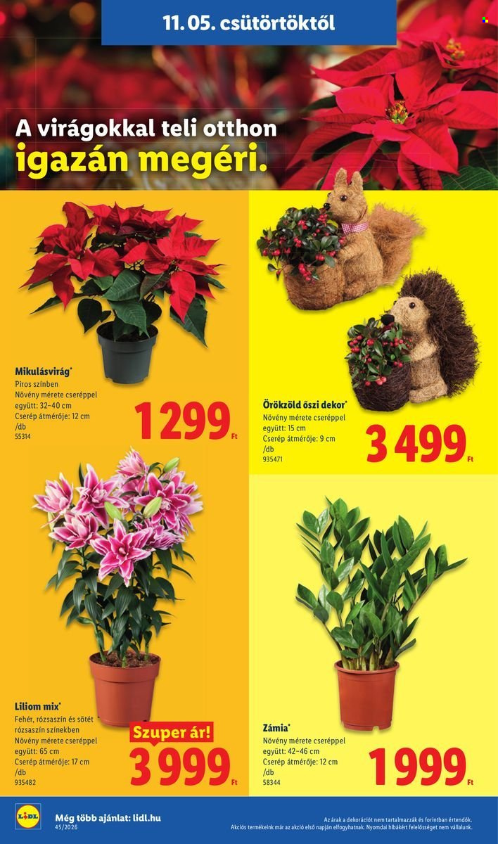Lidl akciós újságok - 2026.11.05 - 2026.11.11. Oldal 20