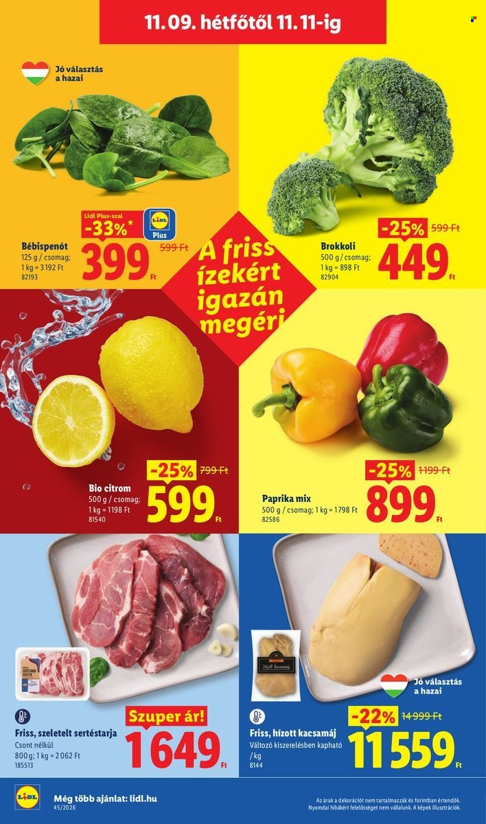 Lidl akciós újságok - 2026.11.05 - 2026.11.11. Oldal 50